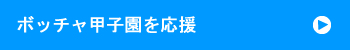 ボッチャ甲子園を応援